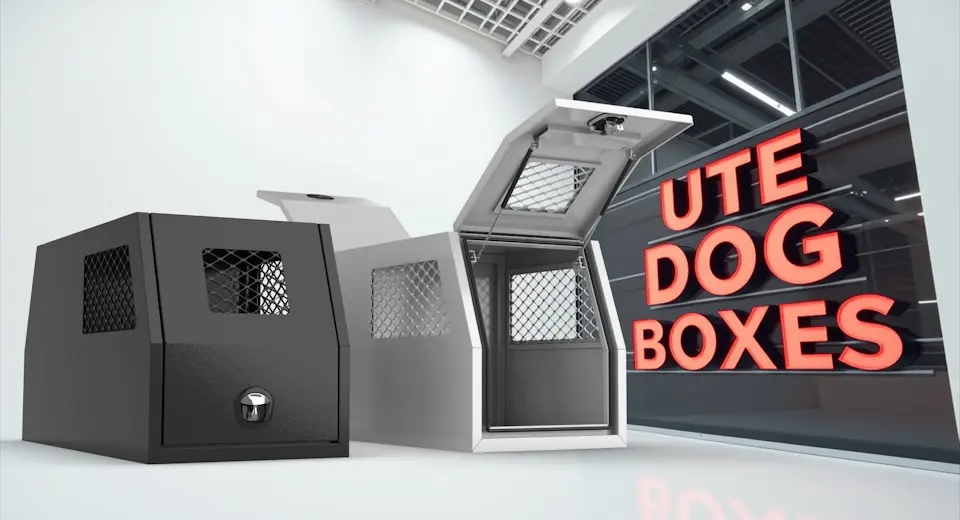 Dog Boxes